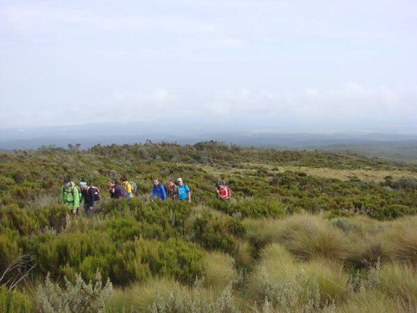 2 Days 1 Night Mount Kenya Climbing Tour- Sirimon Route