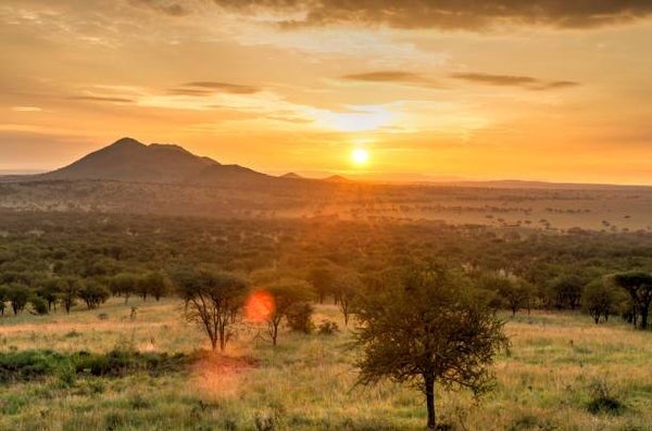 Custom Made Kenya Private Lodge Safaris 3 Days Samburu National Reserve Private Mid-Range Safari