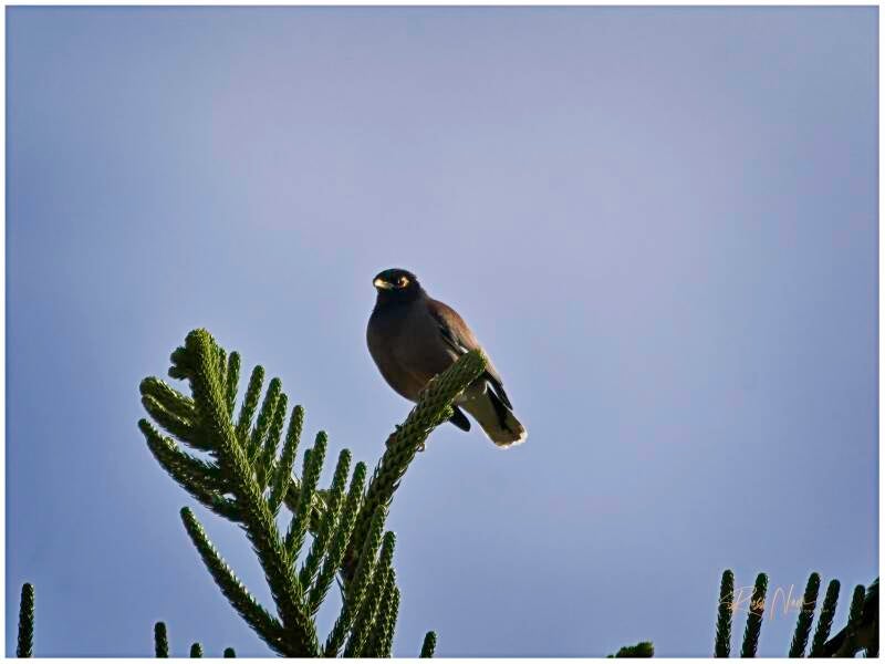 om544279-standard.jpg