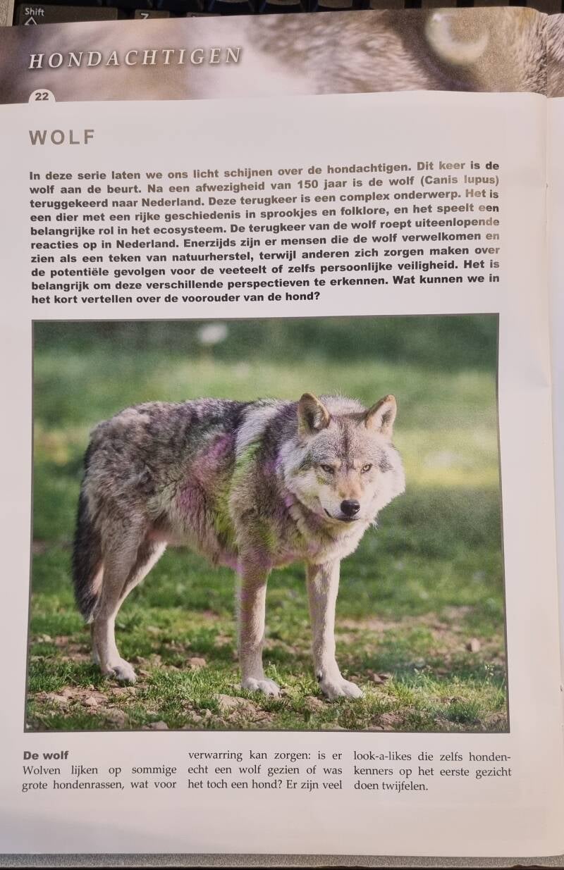 Bron Dierenambulance nederrijn