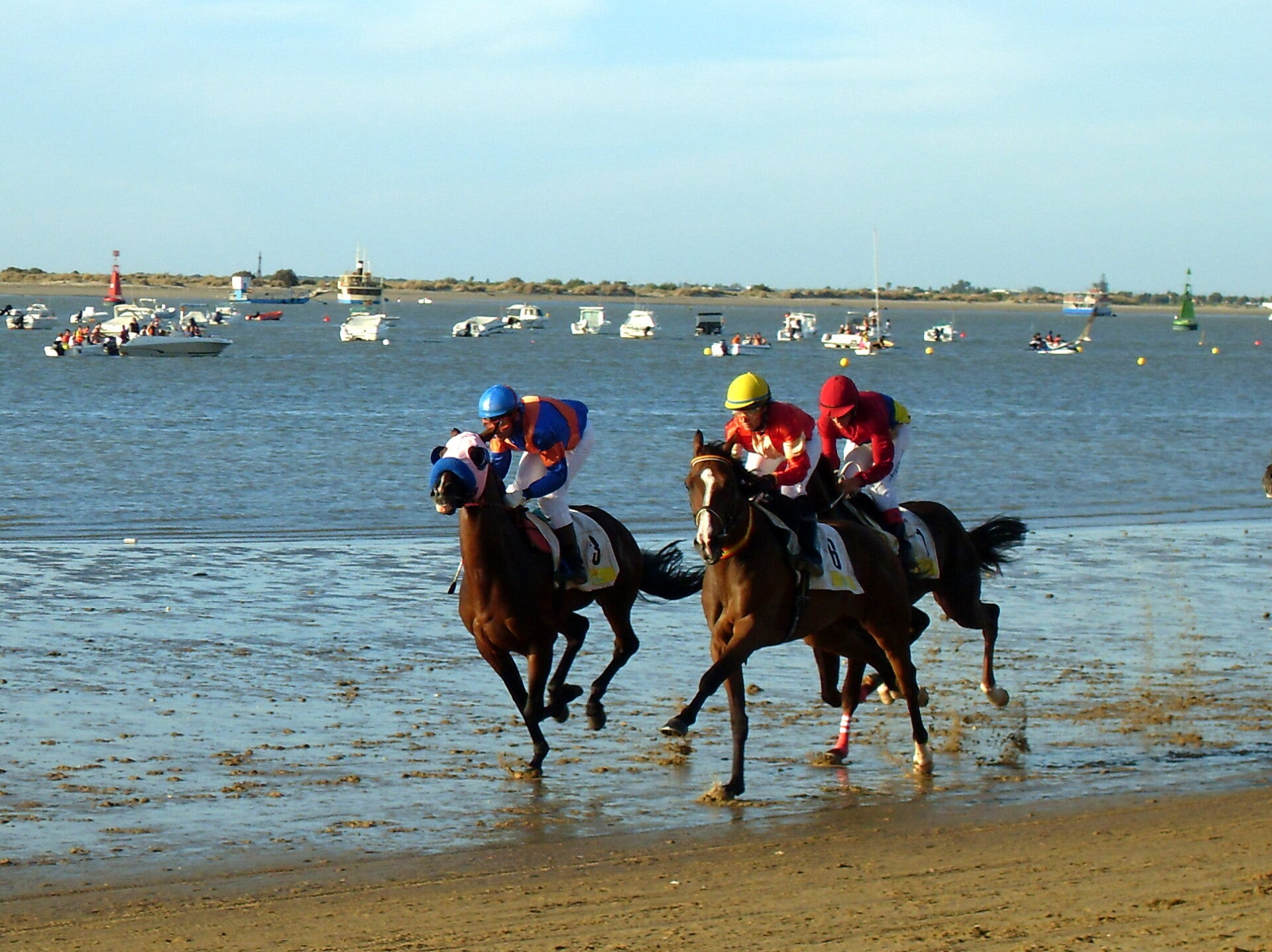 Caballos purasangre compitiendo en la playa de Sanlúcar de Barrameda al atardecer