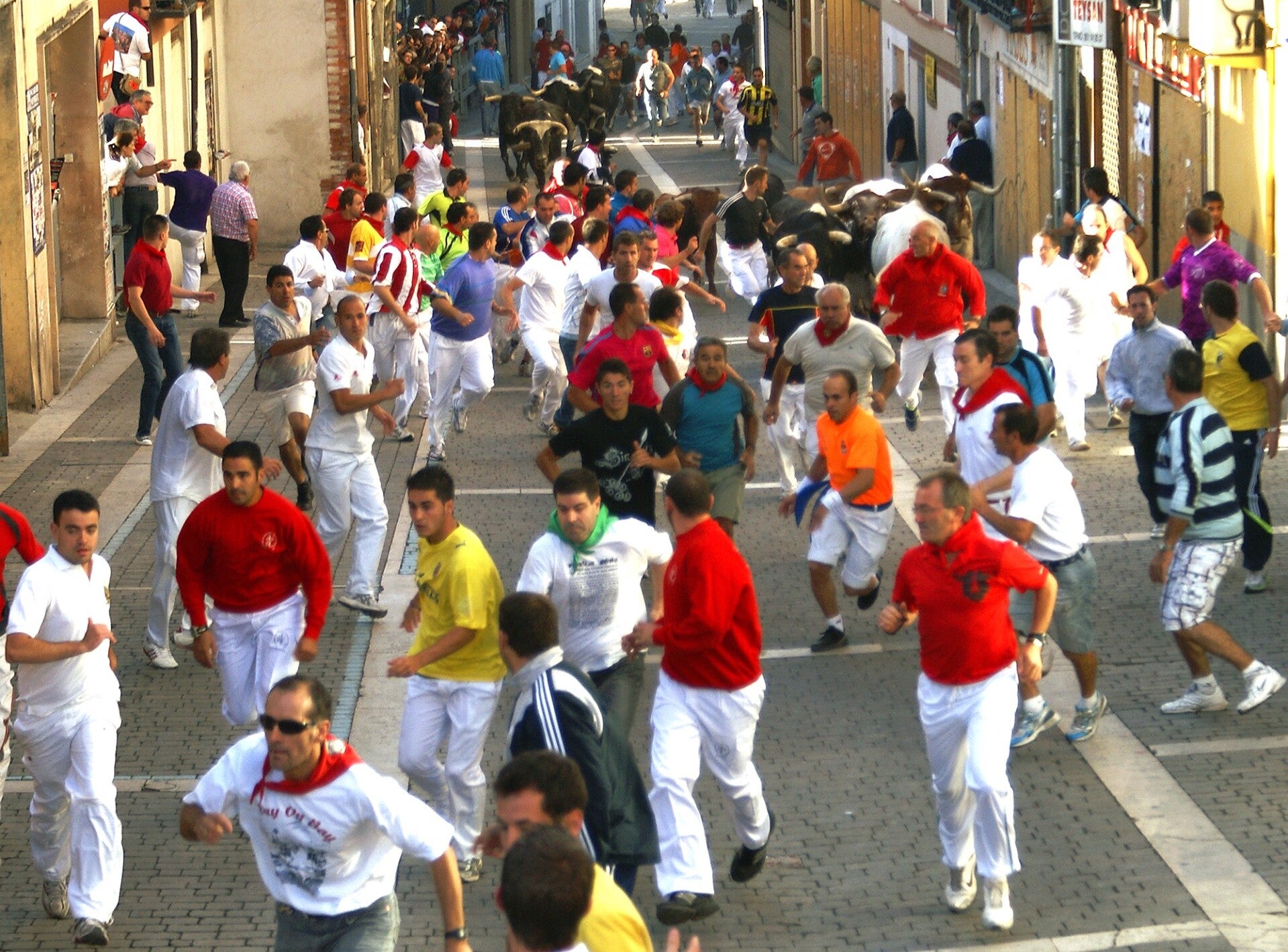 Toros corriendo por una calle de Cuéllar durante sus encierros (Segovia)