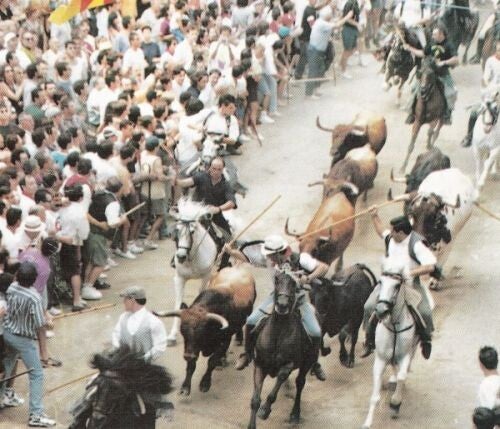 Reses y caballos al galope por la calle durante la Entrada de Toros y Caballos de Segorbe