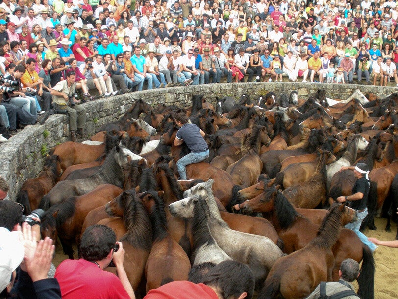Ambiente de público en la Rapa das Bestas de Sabucedo