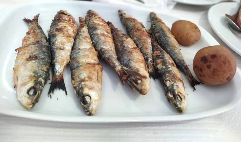 Sardinas a la brasa, plato típico gallego