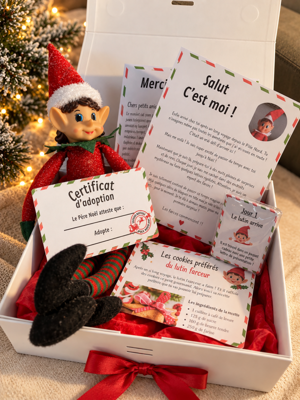 Box Lutin Farceur