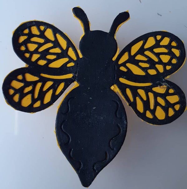 INSECTS