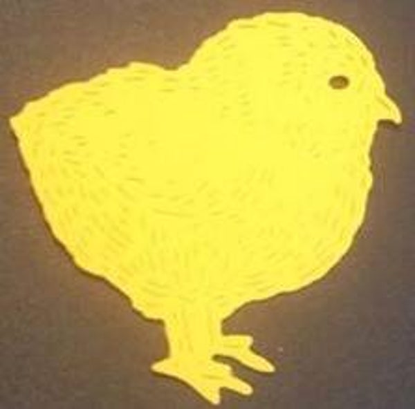 chick