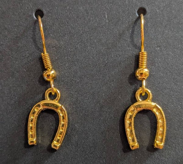 horse shoe dangling