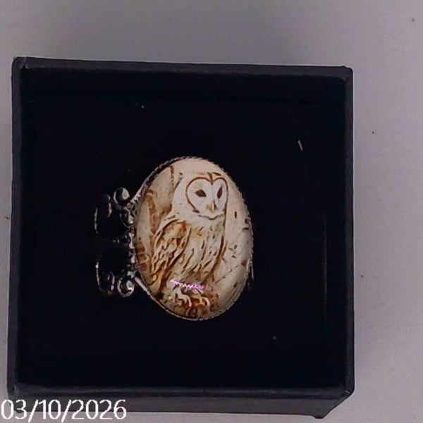 Oval and animal Rings