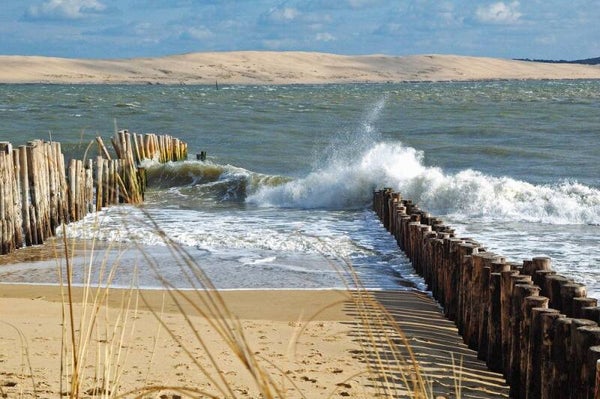 Crème Cosmétique du Bassin d Arcachon