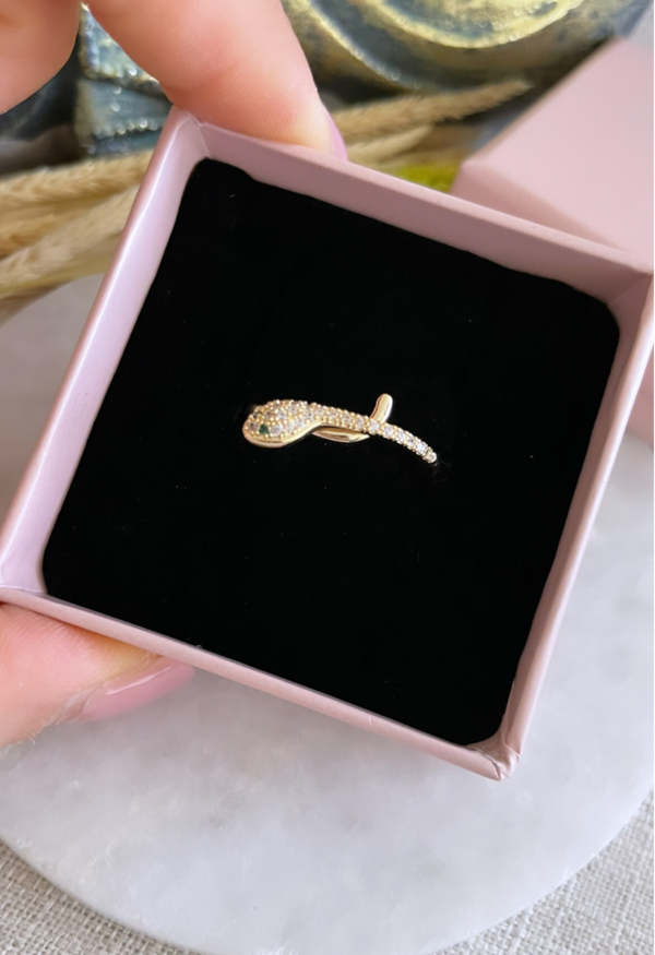 Ring Dünne Schlange