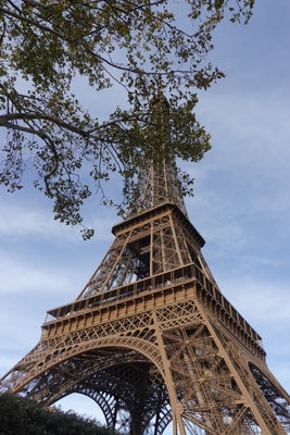 dsc04350-1.jpeg
