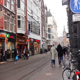 dsc06084-standard.jpg
