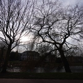 dsc06088-standard.jpg