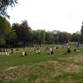 dsc01133-1.jpeg