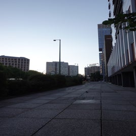 dsc01188-1.jpeg