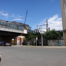 dsc01057-1.jpeg