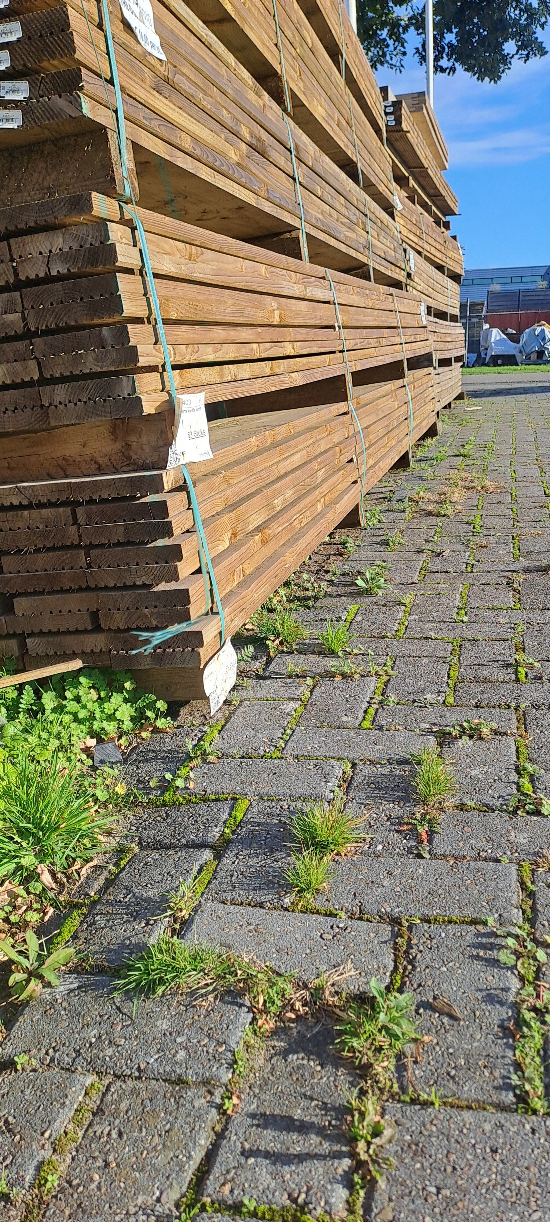 Vlonderplanken