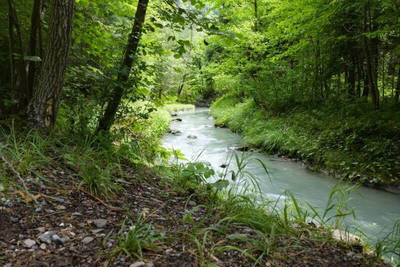 fluss-in-gr-nen-standard-y0mjh0.jpg