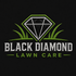 Black diamond lawn care