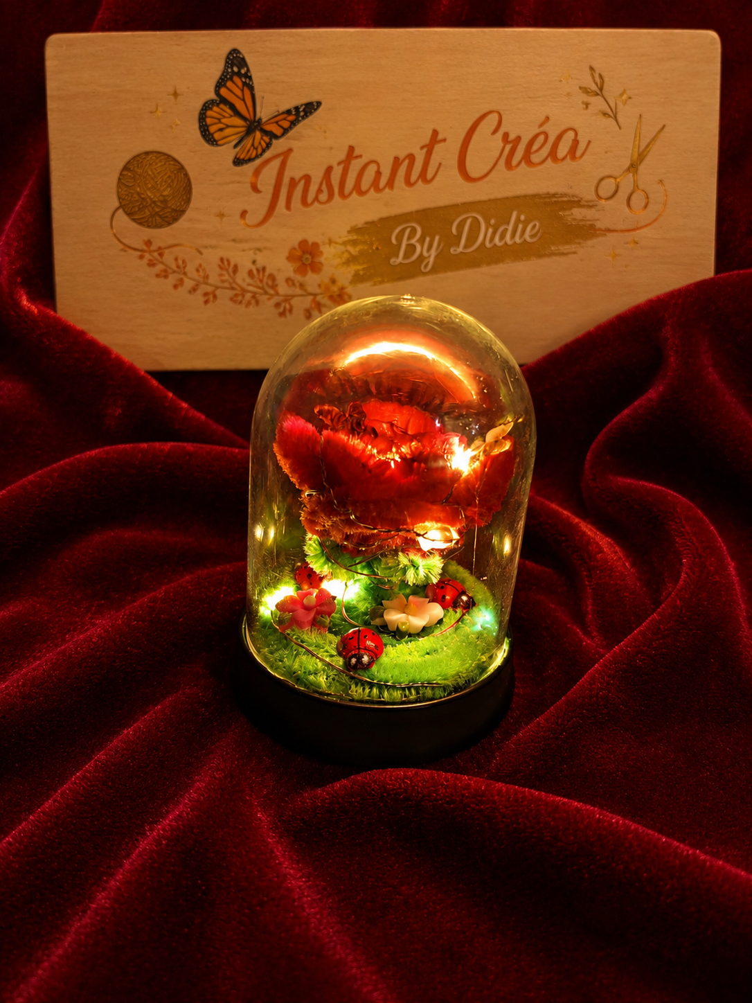 Rose lumineuse sous cloche