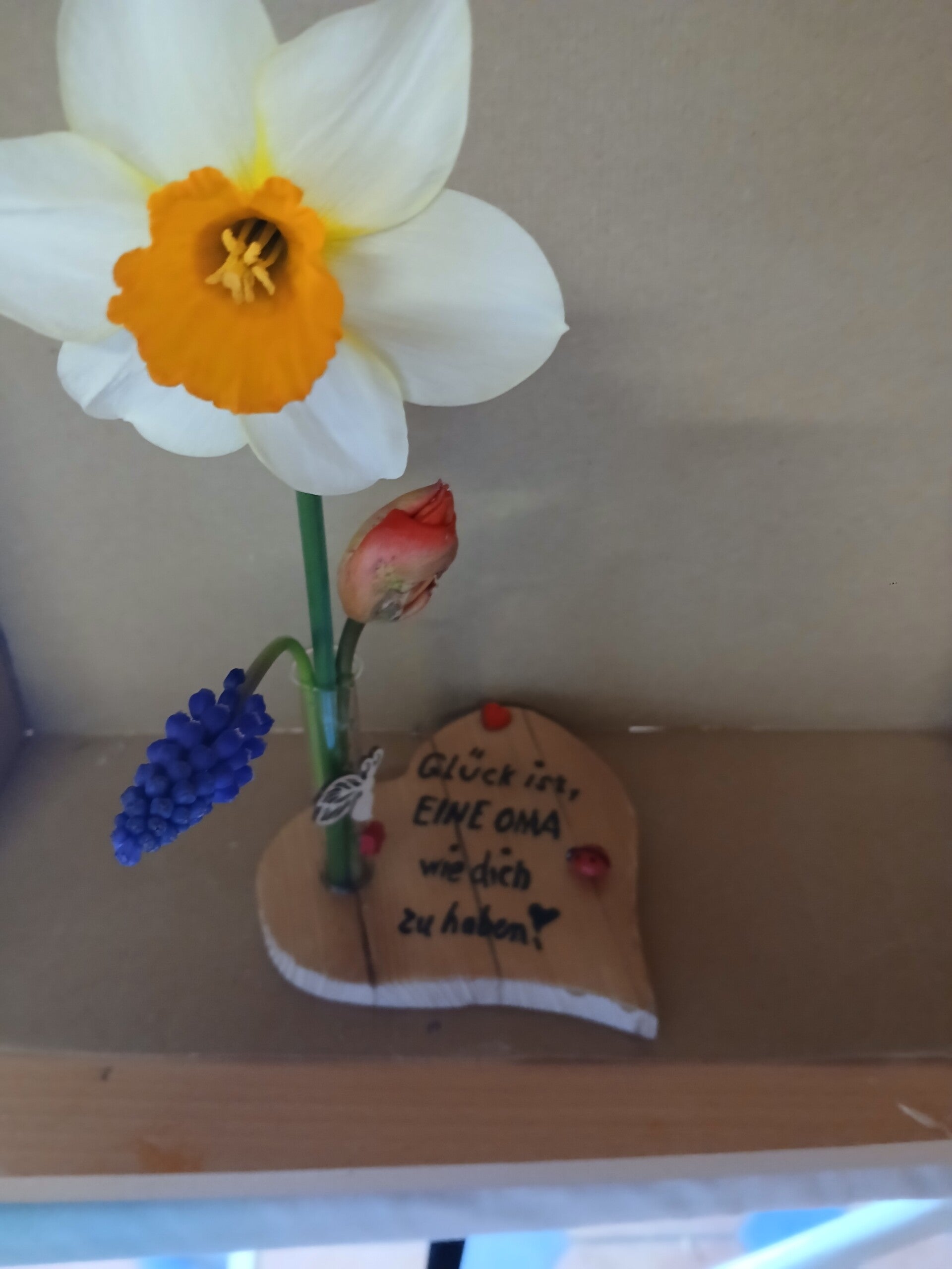Geschenke Nr.17