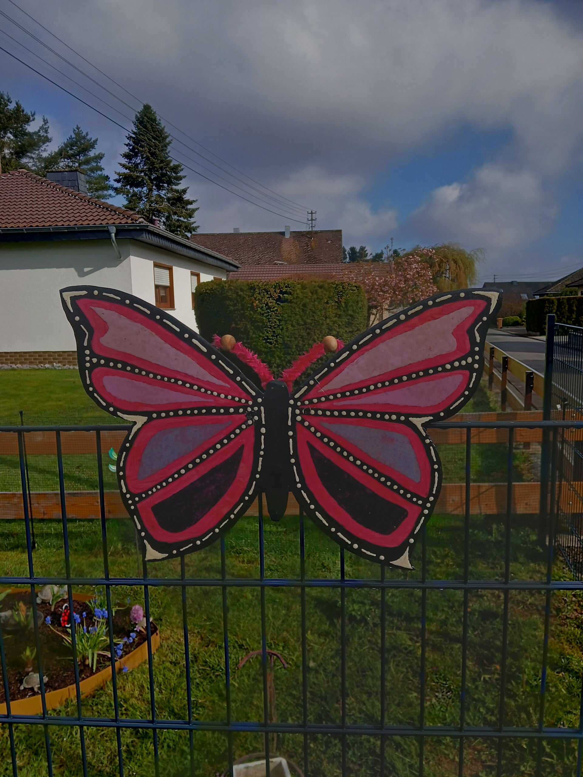 Schmetterling groß
