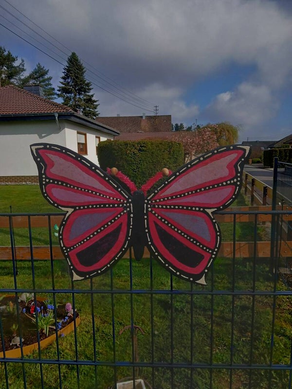 Schmetterling groß