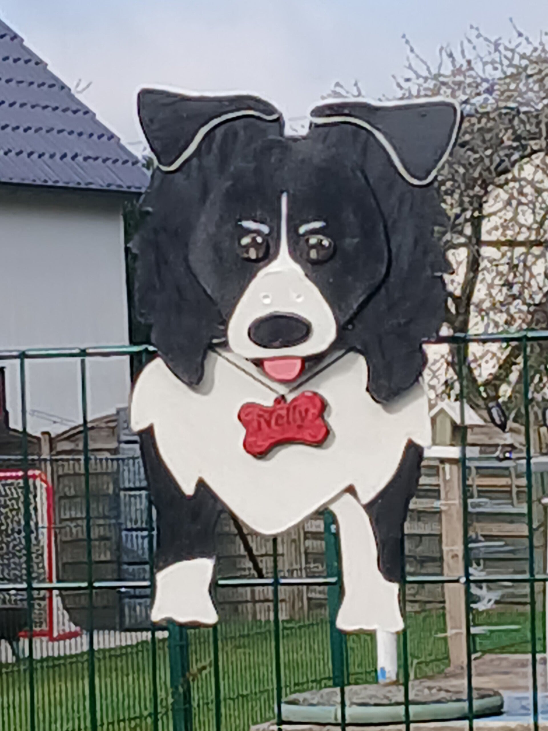 Border Collie