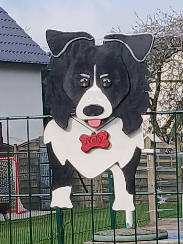 Border Collie