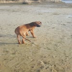 20160207_114913.jpg