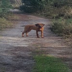 20160207_115247.jpg