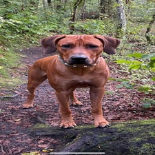 img-20220927-wa0014.jpg