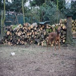 Baina5-1.jpg
