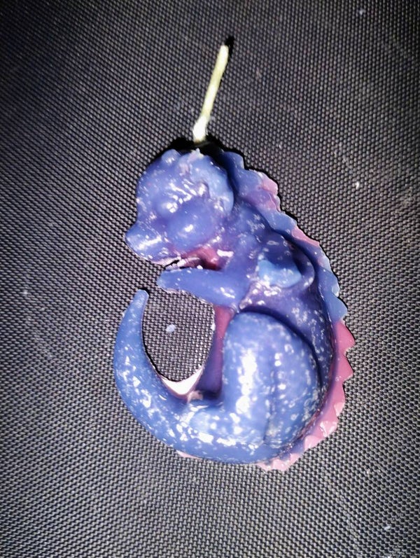 Two Tone baby dragon