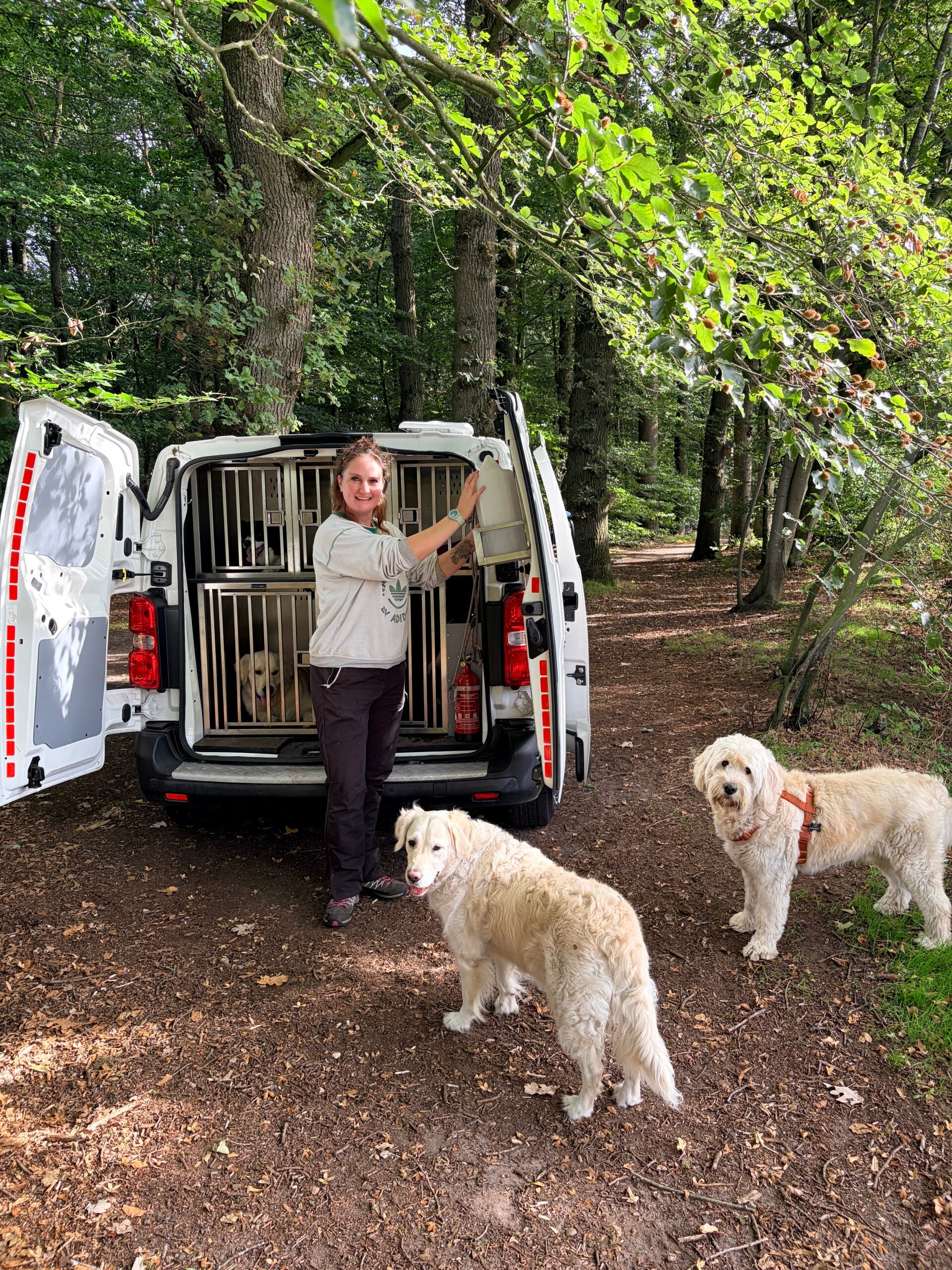 honden uitlaatservice Zeist,  Hondenuitlaatservice, Bosche en Duin, Huis ter Heide
