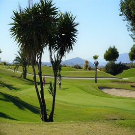 golfbaan1.jpg