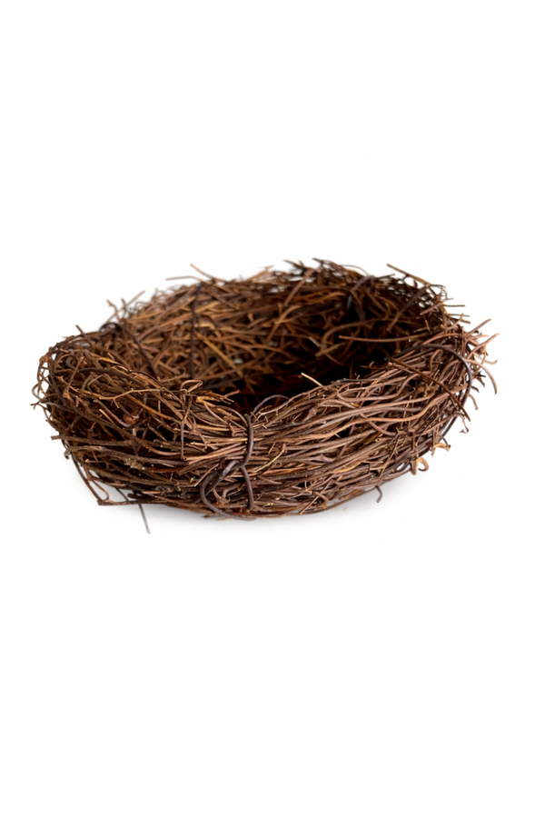 Vogelnest