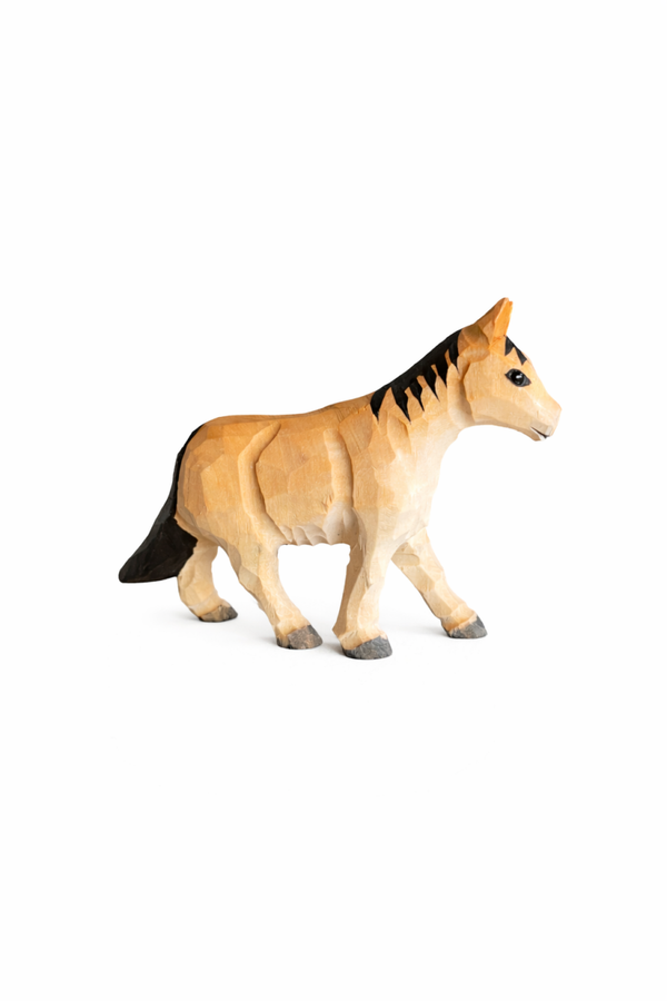 Paard