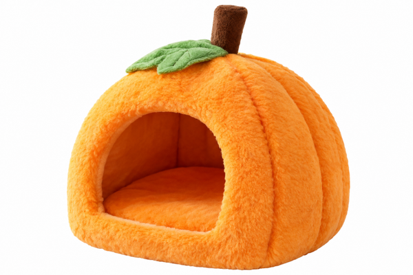 Pompoen huisje