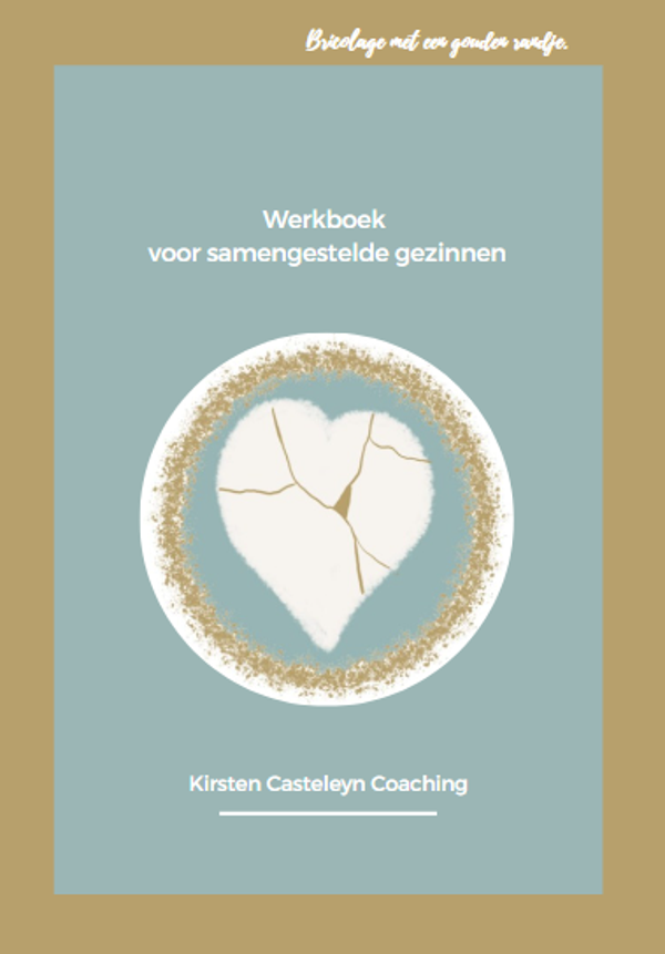 Werkboek samengestelde gezinnen incl. 2 adviesgesprekken
