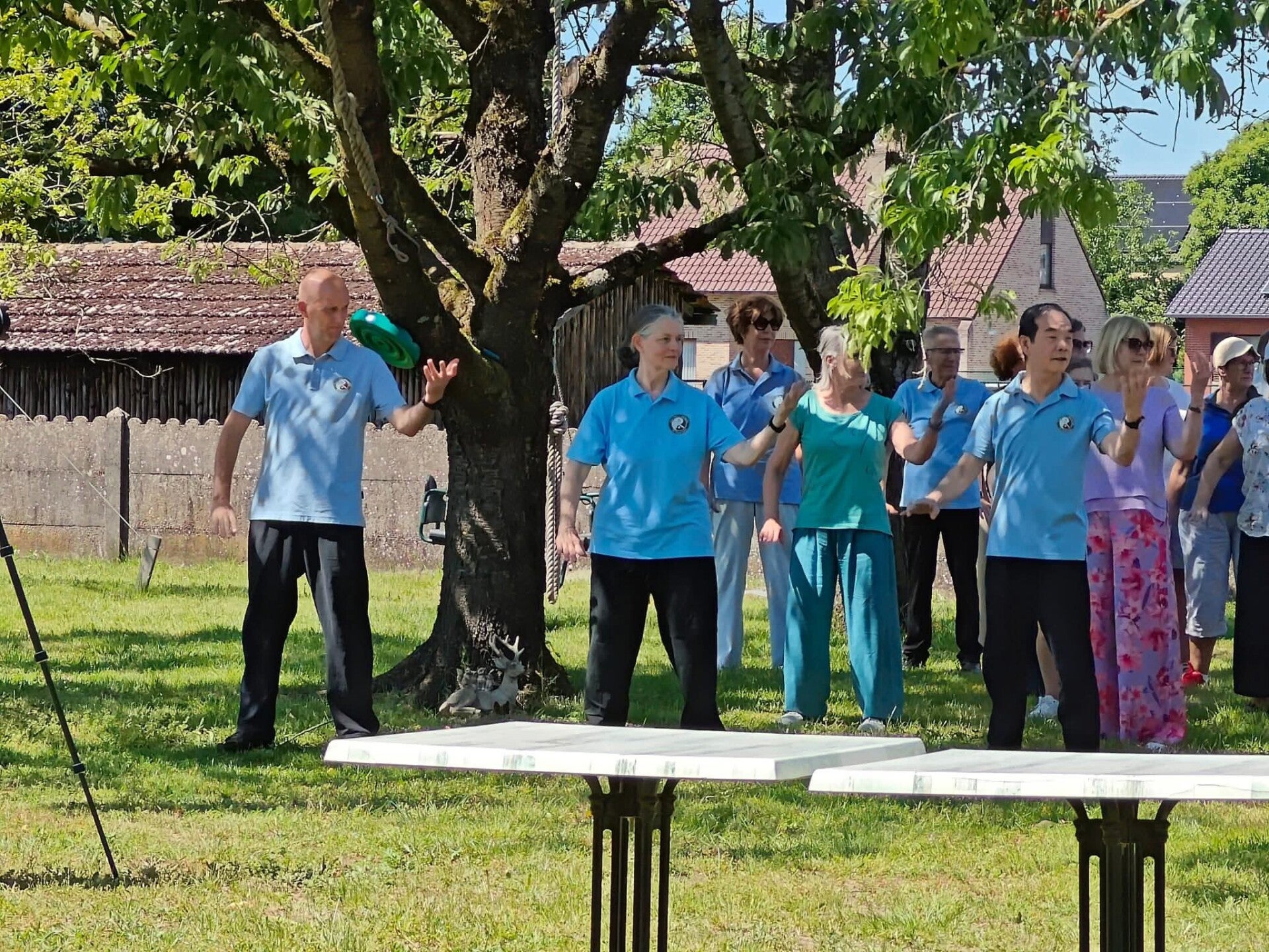 Tai Chi for Health Workshops, Netherlands 2024