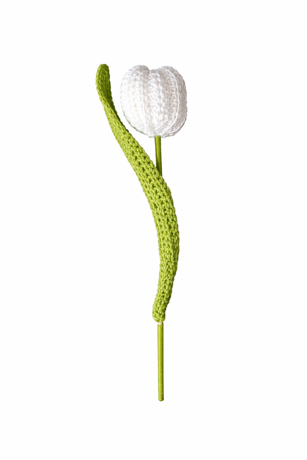 Tulp
