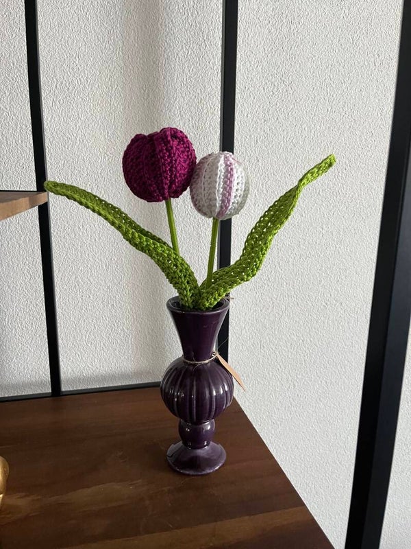 Tulpen