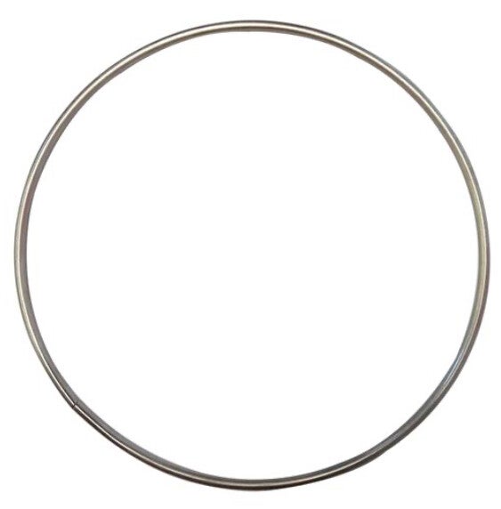 RVS Ring 10cm