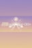 Bridge of Light Reiki