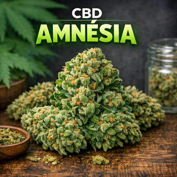 Amnésia : tarif au gramme