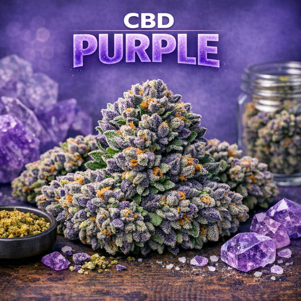 Purple : tarif au gramme