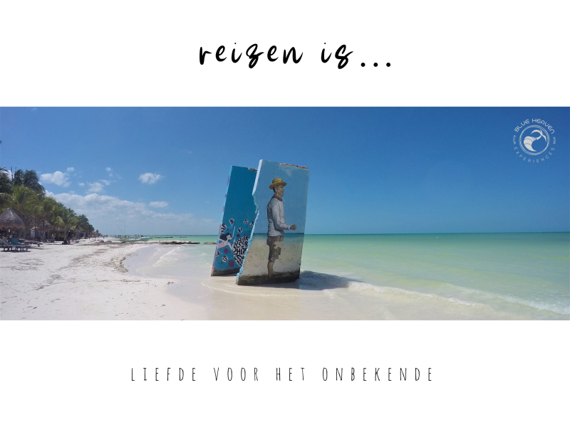 persoonlijk, kleinschalig, nederlandstalig, betaalbaar, all in,excursie, avontuur, haven, boottocht, yalahau, cenote, zwemmen, blauw water, natuur, passie eiland, zandbank, vogels, dolfijn, holbox, foto, golfkar, zandweg, plezier, geweldig, oude boom, 
